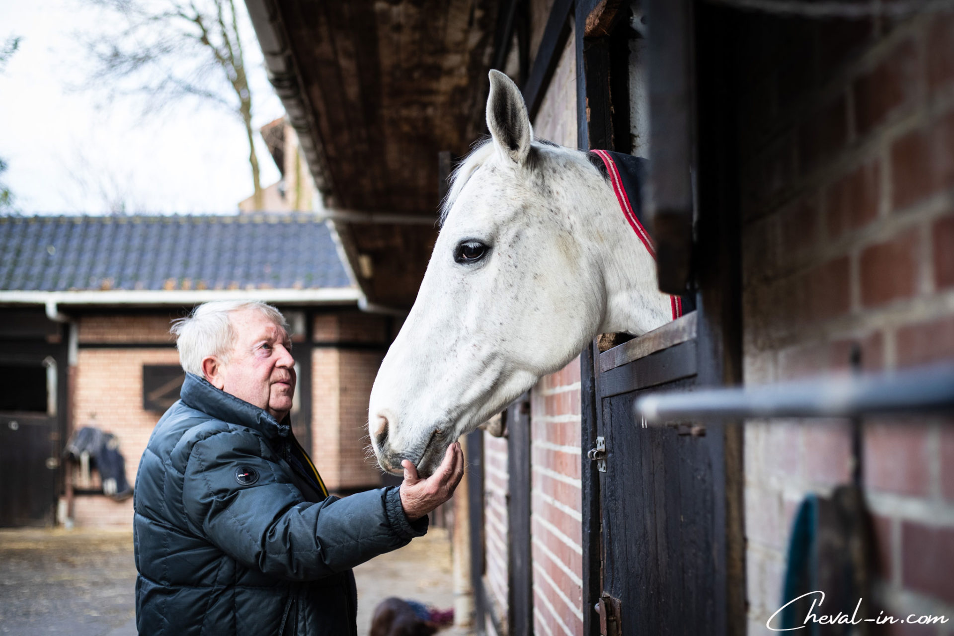 Cheval-in_Jean-Paul-Musette_3