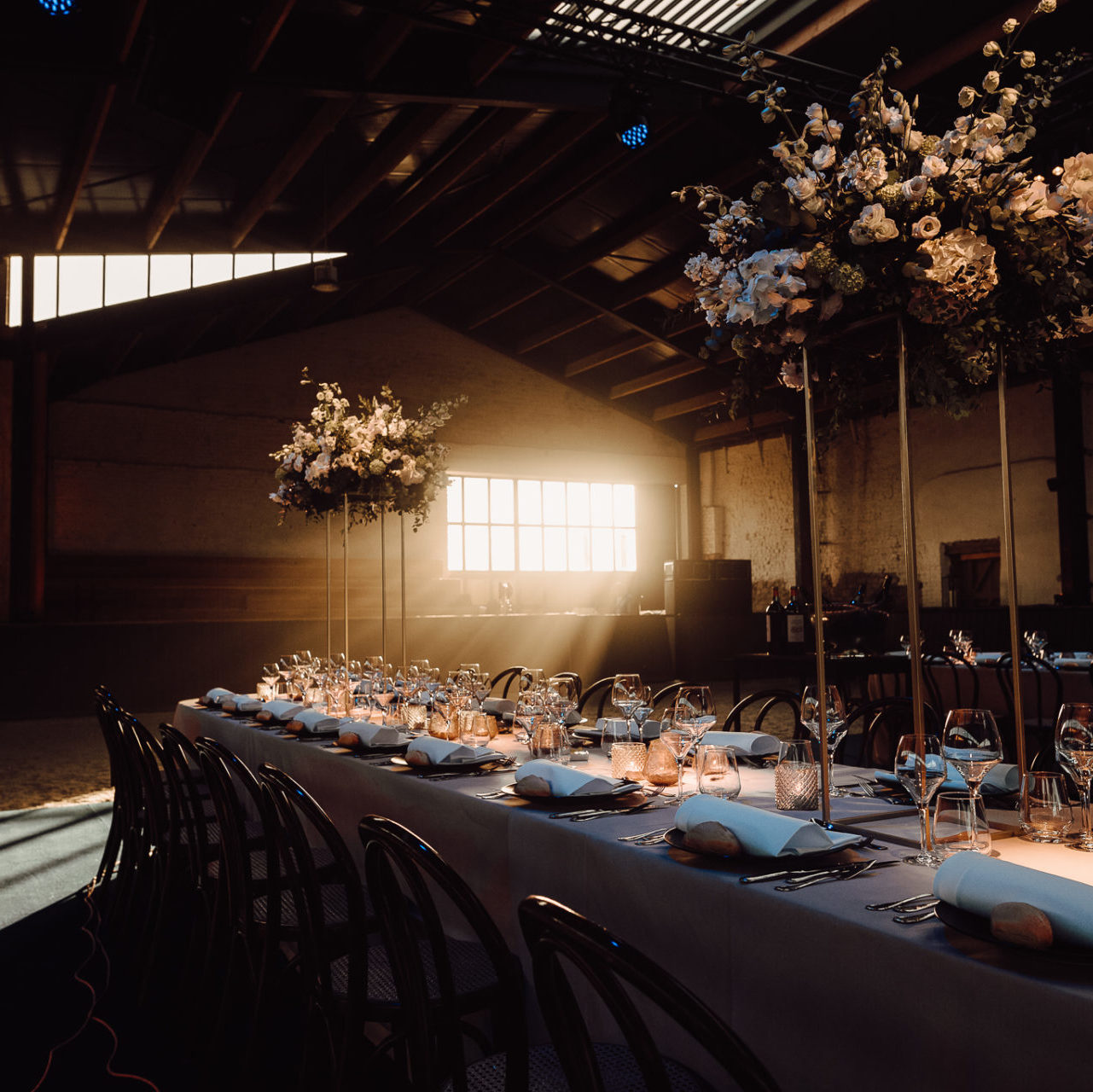 Aquila House Aquila Farm