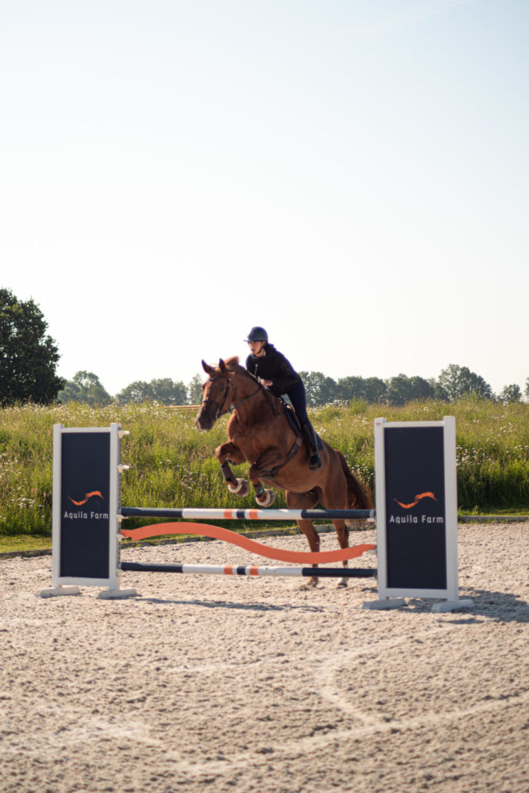 saut d'obstacle cheval